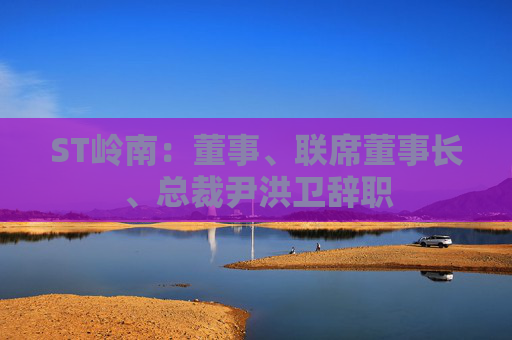 ST岭南：董事、联席董事长、总裁尹洪卫辞职