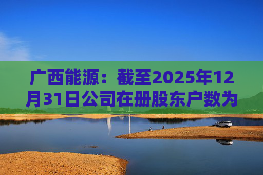广西能源：截至2025年12月31日公司在册股东户数为53413户