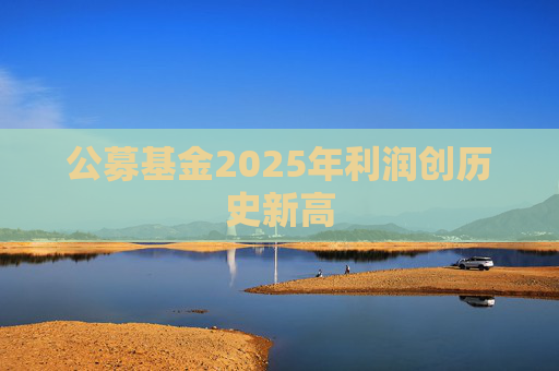 公募基金2025年利润创历史新高