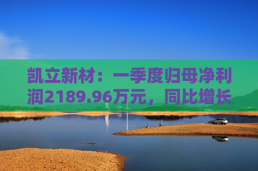 凯立新材：一季度归母净利润2189.96万元，同比增长90.48%