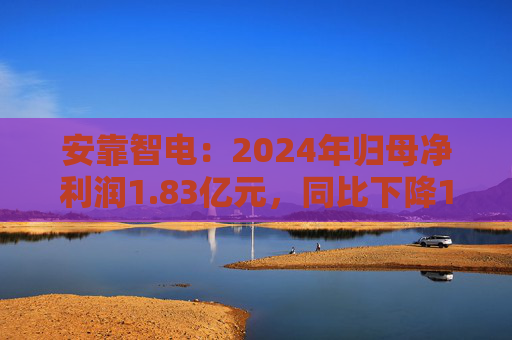 安靠智电：2024年归母净利润1.83亿元，同比下降10.5%  第1张