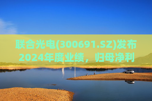 联合光电(300691.SZ)发布2024年度业绩，归母净利润3856.29万元，同比下降40.02%  第1张