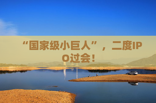 “国家级小巨人”，二度IPO过会！