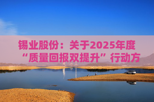 锡业股份：关于2025年度“质量回报双提升”行动方案实施评估报告