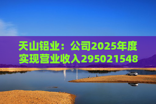 天山铝业：公司2025年度实现营业收入29502154897.93元