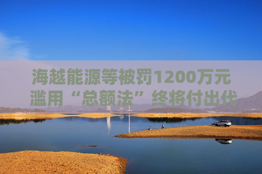 海越能源等被罚1200万元 滥用“总额法”终将付出代价  第1张