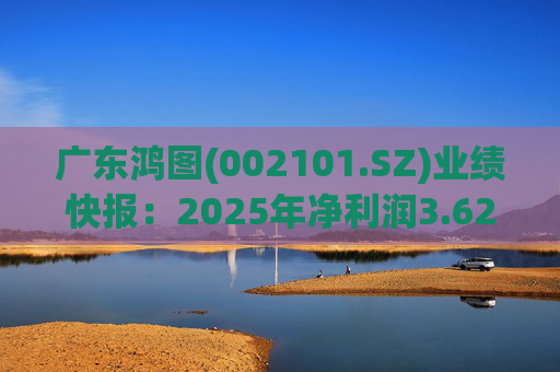 广东鸿图(002101.SZ)业绩快报：2025年净利润3.62亿元 同比下降12.74%  第1张