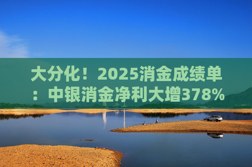 大分化！2025消金成绩单：中银消金净利大增378%，湖北消金大降超80%  第1张