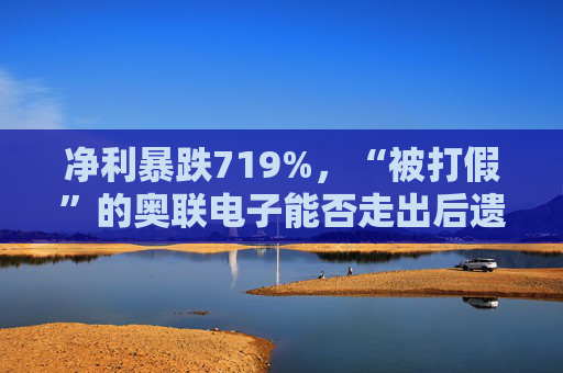 净利暴跌719%，“被打假”的奥联电子能否走出后遗症？