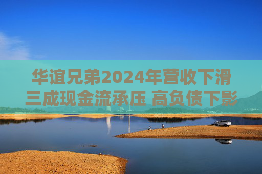华谊兄弟2024年营收下滑三成现金流承压 高负债下影视项目待突围