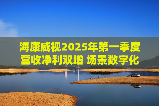 海康威视2025年第一季度营收净利双增 场景数字化业务逐步落地  第1张