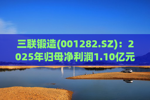 三联锻造(001282.SZ)：2025年归母净利润1.10亿元