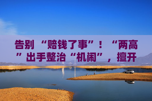 告别 “赔钱了事”！“两高”出手整治“机闹”，擅开舱门、机上斗殴可定罪！律师详细解读
