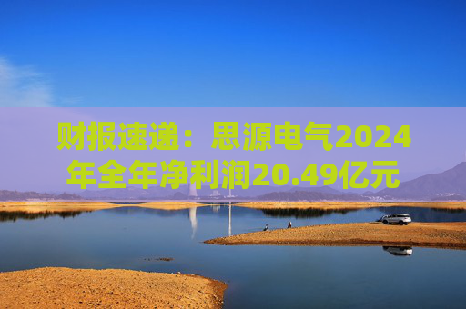 财报速递：思源电气2024年全年净利润20.49亿元  第1张