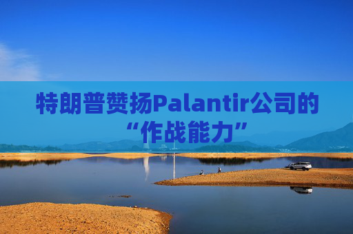 特朗普赞扬Palantir公司的“作战能力”