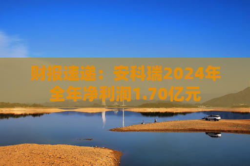 财报速递：安科瑞2024年全年净利润1.70亿元  第1张