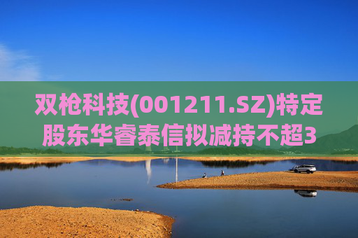 双枪科技(001211.SZ)特定股东华睿泰信拟减持不超3.8053%股份  第1张