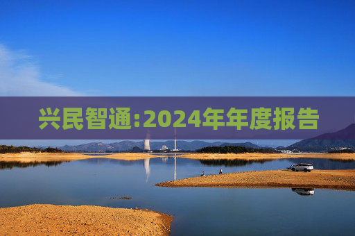 兴民智通:2024年年度报告  第1张