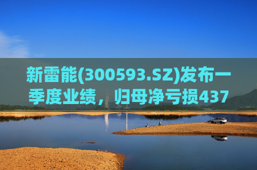 新雷能(300593.SZ)发布一季度业绩，归母净亏损4374.06万元，亏损扩大  第1张