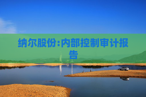 纳尔股份:内部控制审计报告
