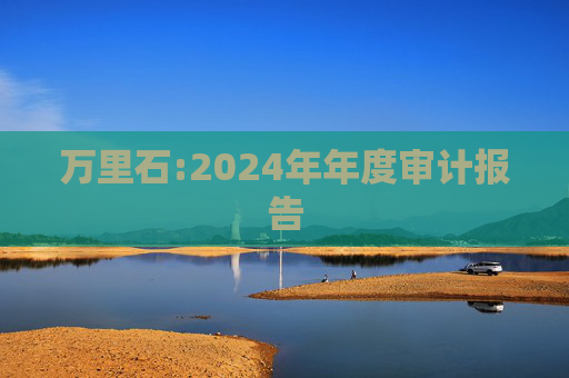 万里石:2024年年度审计报告