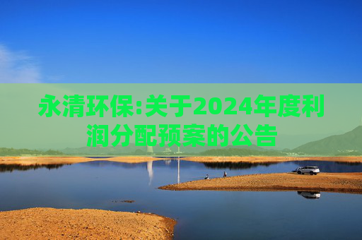 永清环保:关于2024年度利润分配预案的公告