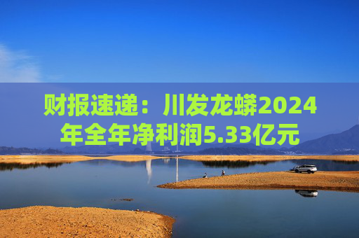财报速递：川发龙蟒2024年全年净利润5.33亿元