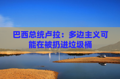 巴西总统卢拉：多边主义可能在被扔进垃圾桶  第1张