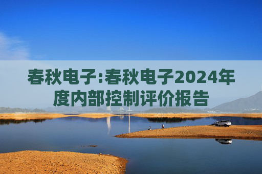 春秋电子:春秋电子2024年度内部控制评价报告  第1张