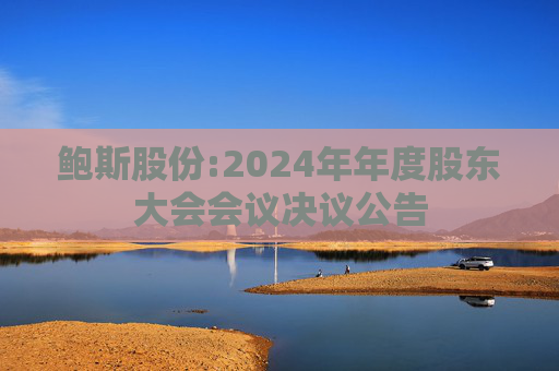 鲍斯股份:2024年年度股东大会会议决议公告  第1张