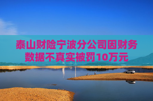 泰山财险宁波分公司因财务数据不真实被罚10万元