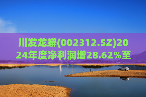 川发龙蟒(002312.SZ)2024年度净利润增28.62%至5.33亿元  拟10派1.41元