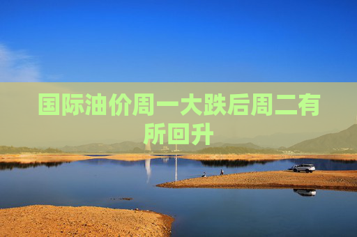 国际油价周一大跌后周二有所回升