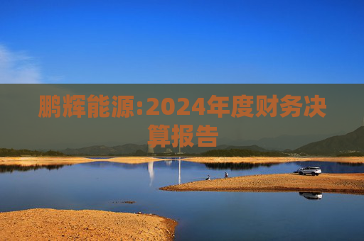 鹏辉能源:2024年度财务决算报告  第1张