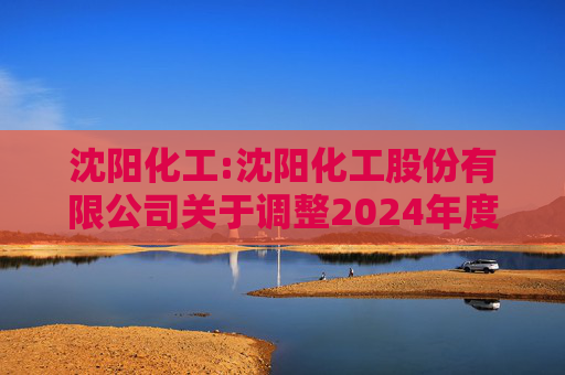 沈阳化工:沈阳化工股份有限公司关于调整2024年度日常关联交易预计的补充公告  第1张