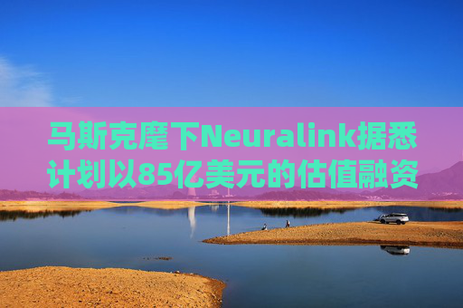 马斯克麾下Neuralink据悉计划以85亿美元的估值融资  第1张