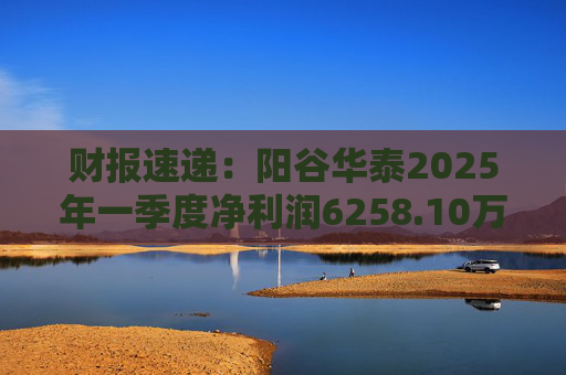 财报速递：阳谷华泰2025年一季度净利润6258.10万元  第1张