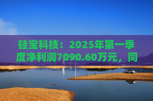 硅宝科技：2025年第一季度净利润7090.60万元，同比增长76.72%