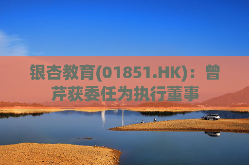 银杏教育(01851.HK)：曾芹获委任为执行董事