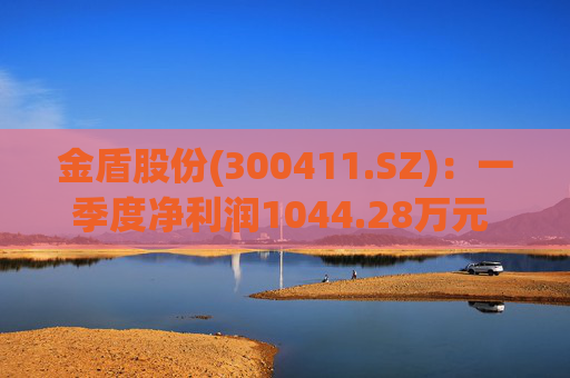 金盾股份(300411.SZ)：一季度净利润1044.28万元 同比增长21.55%  第1张