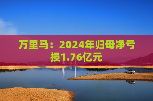 万里马：2024年归母净亏损1.76亿元  第1张