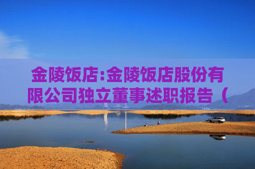 金陵饭店:金陵饭店股份有限公司独立董事述职报告（虞丽新）