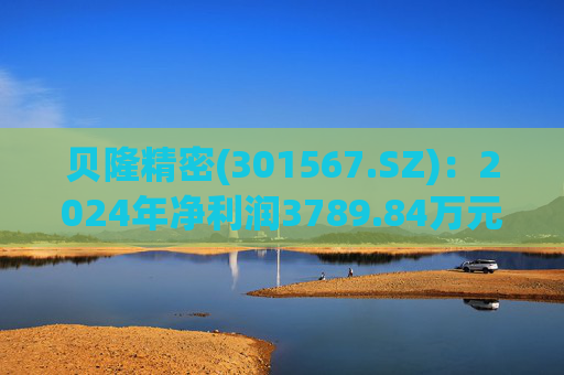 贝隆精密(301567.SZ)：2024年净利润3789.84万元