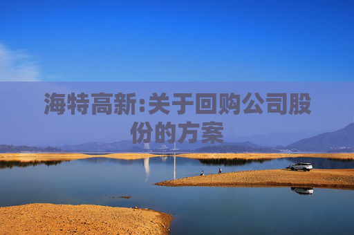 海特高新:关于回购公司股份的方案