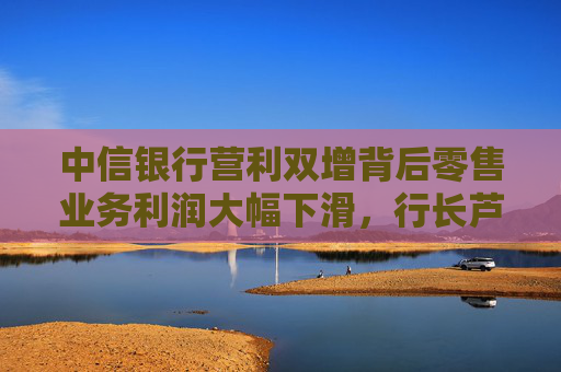 中信银行营利双增背后零售业务利润大幅下滑，行长芦苇首秀业绩会谈净息差