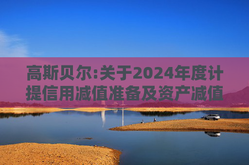 高斯贝尔:关于2024年度计提信用减值准备及资产减值准备的公告