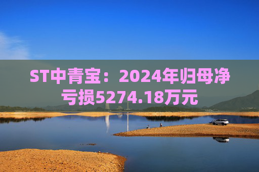 ST中青宝：2024年归母净亏损5274.18万元