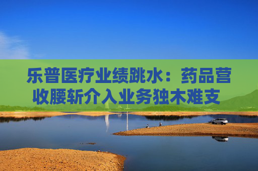 乐普医疗业绩跳水：药品营收腰斩介入业务独木难支 36.2亿商誉“雷”风险仍旧高悬