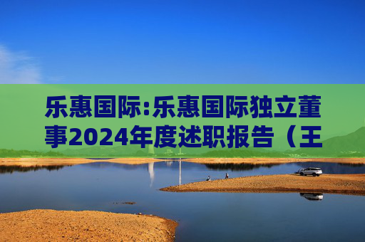 乐惠国际:乐惠国际独立董事2024年度述职报告（王延才）