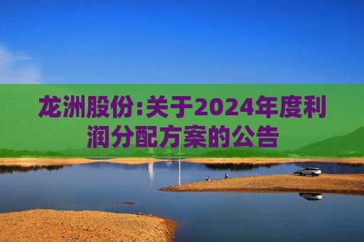 龙洲股份:关于2024年度利润分配方案的公告  第1张